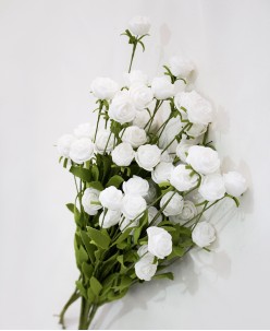 Buket Modelleri (20)
